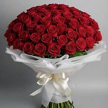 Букет 101 Красная роза Блэк Мэджик #REPLACE_PRED# Новоминской