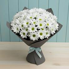 Букет цветов из:  Хризантемы в Новоминской