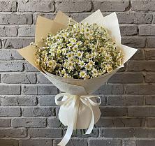 Букет цветов из:  Ромашки #REPLACE_PRED# Новоминской