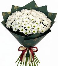 Букет цветов из:  Хризантемы #REPLACE_PRED# Новоминской