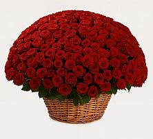 Премиум букет из: Розы в Новоминской