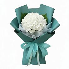 Букет цветов из:  Гортензия #REPLACE_PRED# Новоминской